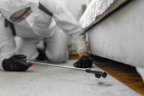 Professional Bed Bug Control technician working in Niantic, CT