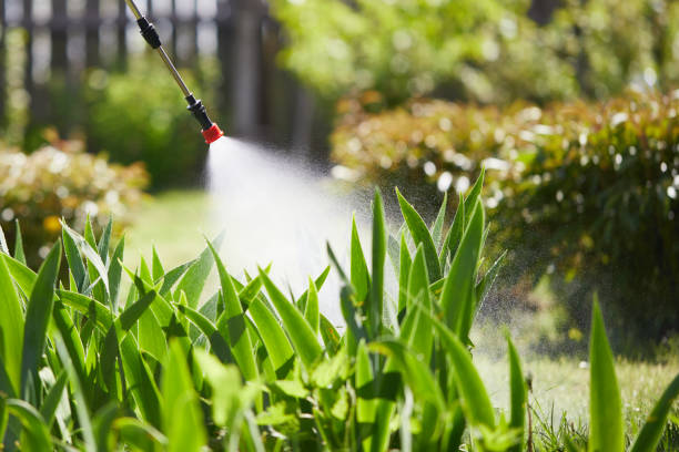 24/7 Emergency Bed Bug Control experts in Niantic, CT
