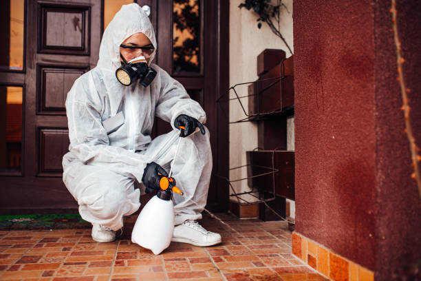 Reliable Bed Bug Control contractor in Niantic, CT by Nex Pest Control
